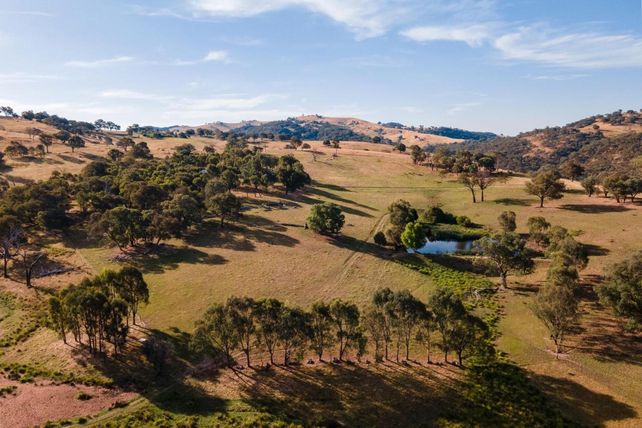 Gaddleen Grove Cottages Вудонга Екстериор снимка